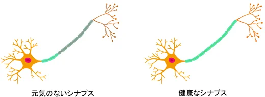 後頭神経痛