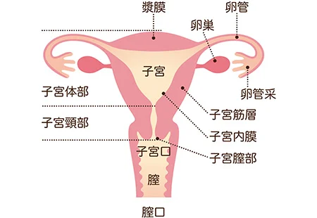 子宮内膜症の鍼治療