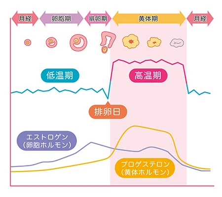 生理痛の鍼治療