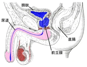 ここにAltタグ